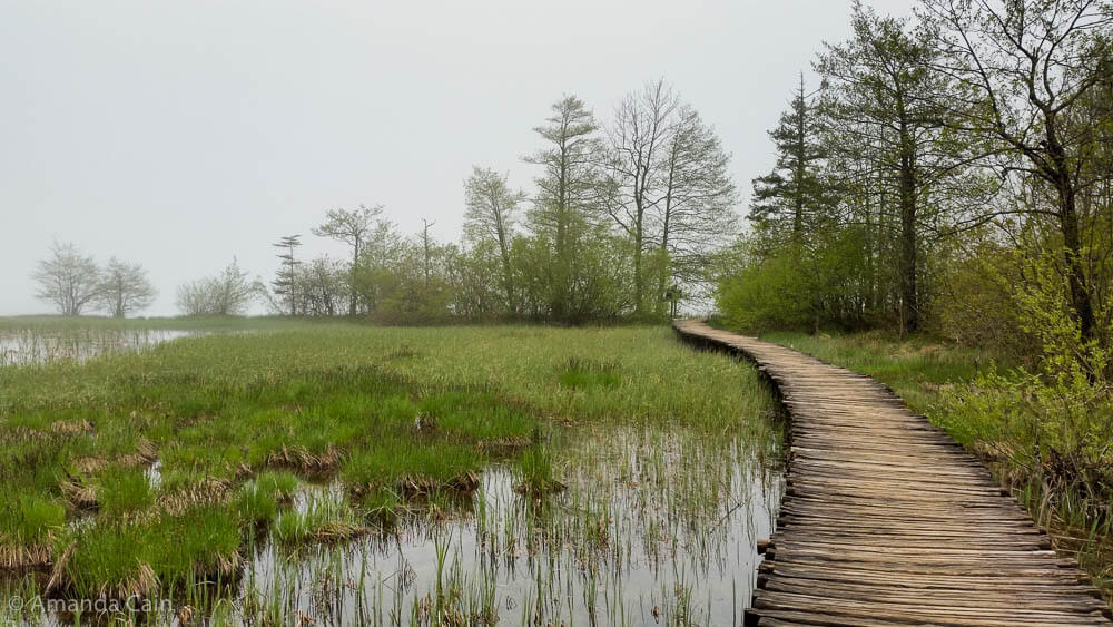 A walkway leading off into foggy Plitvička Lakes.