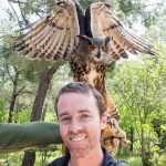 Mordecai the eagle owl at the Sokolarski Centre. They take in injured raptors and rehabilitate them before releasing them back into the wild. Mordecai is one of the permanent residents who can't be released due to her injuries.