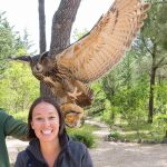 Mordecai the eagle owl at the Sokolarski Centre. They take in injured raptors and rehabilitate them before releasing them back into the wild. Mordecai is one of the permanent residents who can't be released due to her injuries.
