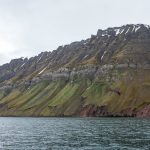 During breeding season these cliffs are full of nesting migratory birds. Because of all the bird droppings it's considered to be the greenest place in Svalbard.