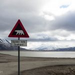 Svalbard is full of polar bears. Every group that leaves town must carry a gun with them for protection.