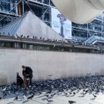 Pigeons wait patiently for the old man to feed them.