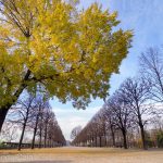 Sometimes it's all about your perspective in life. (In the Tuileries Gardens in Paris).