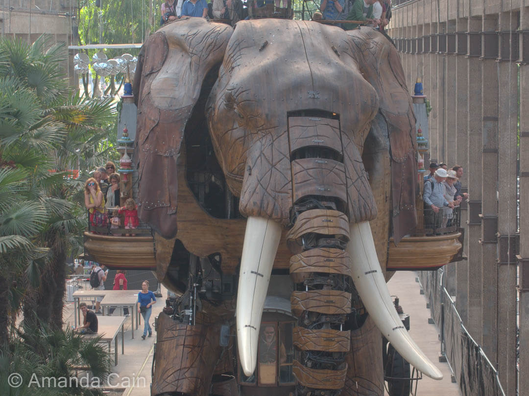 A giant mechanical elephant you can ride without worrying about cruelty.