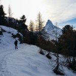 Hiking through the Swiss Alps with the iconic Matterhorn in the distance.