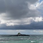 One lonely tree resisting the elements.