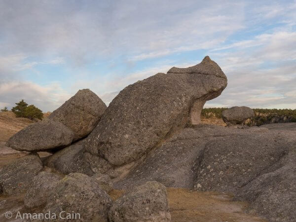 One of the stone "frogs" in the Valley of the Frogs.