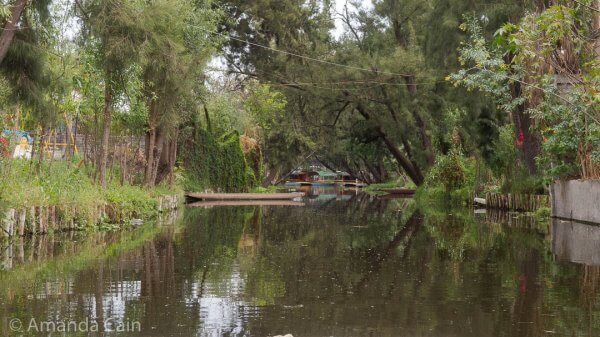 The canals of Xochimilco.