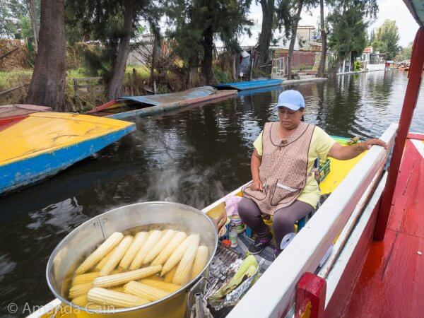 When you go on a boat trip to Xochimilco, you have all sorts of people coming up to your boat to sell you stuff like this corn seller.