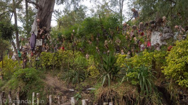 A bunch of old dolls strung up in the trees and bushes by the canals, not creepy at all...