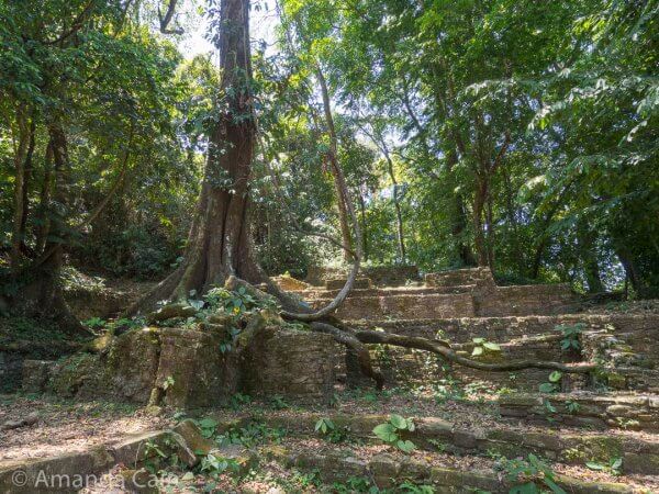 Archaeologists left some of the trees behind, still growing out of the ruins of Palenque. It's things like this that make you think you're in a movie or computer game.