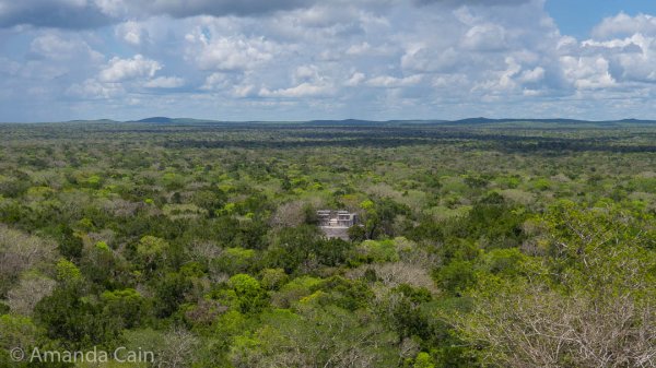 Apart from the handful of Mayan pyramids sticking out of the trees, all you can see for miles around Calakmul is the Great Green Ocean.