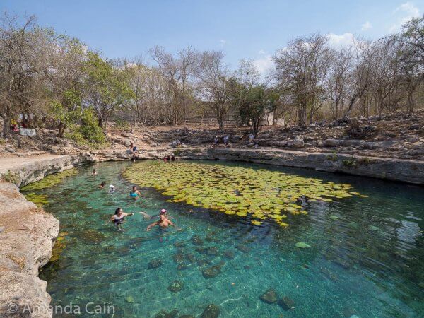 Dzibilchaltun has a nice refreshing cenote right in the centre of the ruins where you can cool off after a hot day wandering around the ruins.