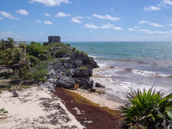 The iconic shot of Tulum ruins. Except it's the middle of seaweed season, it's windy as all hell, and waves are crashing down on the shore rather than gently lapping the shore.
